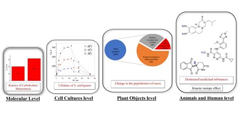 Fig. 1: Diagram of the information presented in the review