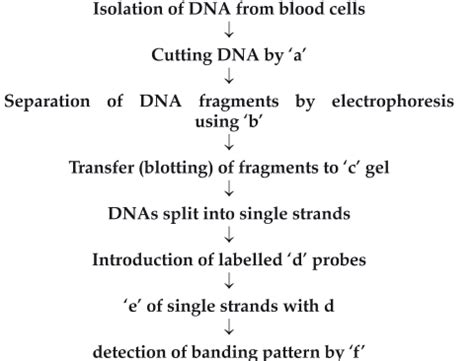 The following is the flow chart highlighting the step in DNA ...