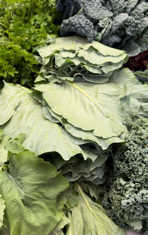 Local Farmers 的图像结果