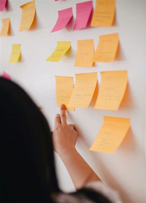 Image result for Sorting Cards Drawing