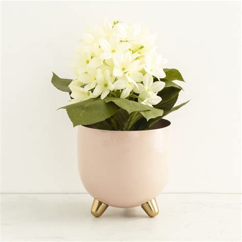 Buy Moksha Solid Footed Planter from Home Centre at just INR 799.0