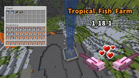 Image result for Java Fish Farm 1.18