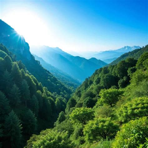 9 Ways To Say No Problem In German