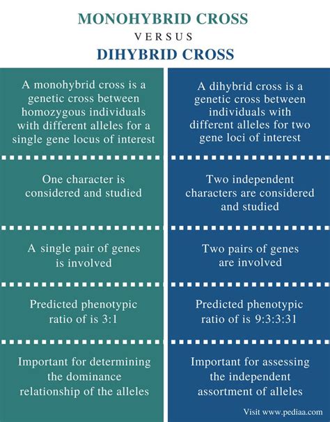 difference between hybrid and remote work