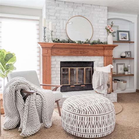 Poly and Bark Review - Must Read This Before Buying