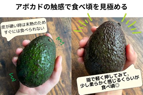 Image result for 4th Grade Standard Algorithm Examples