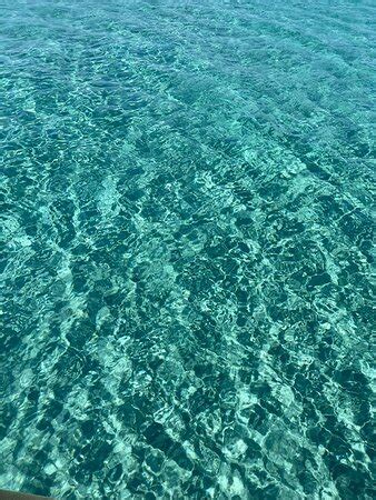 Asinara Garbo Charter (Stintino) - 2022 What to Know Before You Go ...