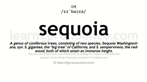 Sequoia Meaning And Pronunciation at Emma Spyer blog