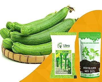 Vegetable Seeds | Sponge Gourd | Farming | Home | Garden | Kitchen ...