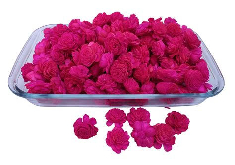 Buy Fab n Style Dry Assorted Artificial Flower Mini Rose (Pink, 3.5cm ...