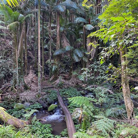 BORDER RANGES NATIONAL PARK (2024) All You Need to Know BEFORE You Go ...