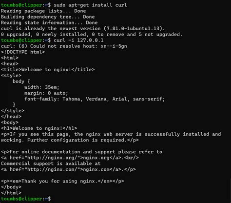 Image result for Nginx Installation