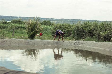 ABCD Community Partnership Program 的图像结果