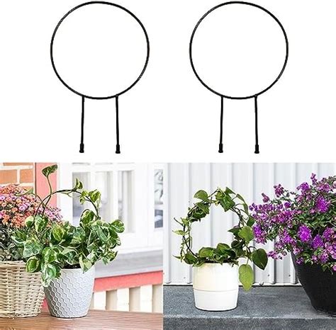 Naitik Creation Metal Plant Trellis for Climbing Plants | Trellis for ...