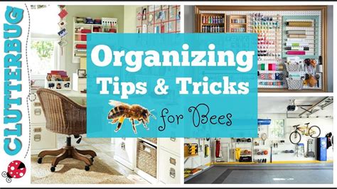 Image result for Clutterbug Organizing Style