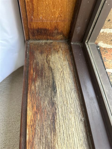 Image result for How to Restore Window Timber Frame