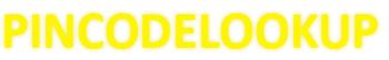 Image result for Pin Code Searching