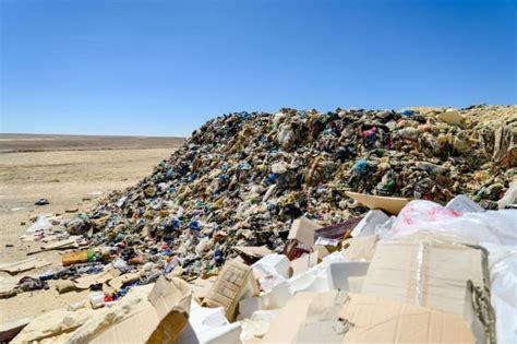 Local Waste Management 的图像结果