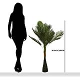 Buy Florakite Artificial Palm Tree (Green, 1 Piece) Online at Low ...