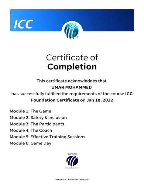 ICC Foundation Code 的图像结果