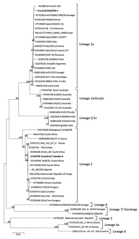 West Nile Virus in Farmed Crocodiles, Zambia, 2019
