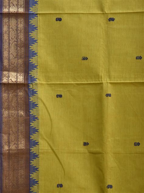 Light Green and Blue Kanchipuram Cotton Saree with Body Buta and Temple ...