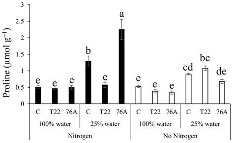 Biostimulant Activity of Azotobacter chroococcum and Trichoderma ...