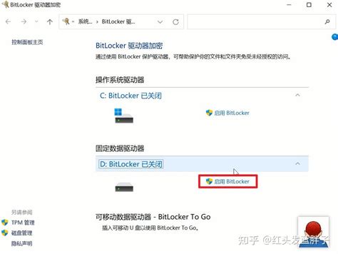 BitLocker Driver 的图像结果