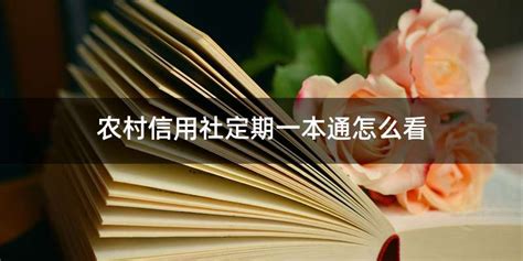 农村信用社定期一本通怎么看 - 喜乐百科