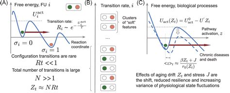 Aging Model 的图像结果