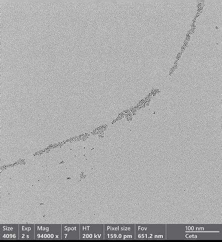 Talos F200i – Cryo-EM