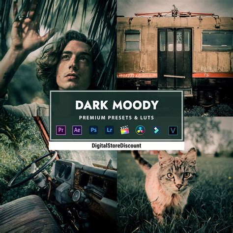 15 DARK MOODY Presets and Luts | Photo and Video | Premiere Pro, After ...