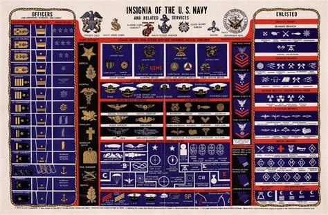 Navy Rank Chart 的图像结果