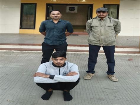 Police seized 330 kg of beef, rescued four cows and sent them to Karjan ...