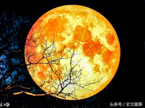 千年奇觀，關於血月亮，你知道多少呢？ - 每日頭條