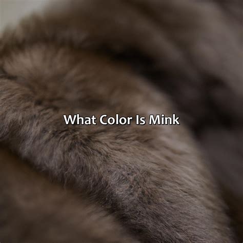 What Is Mink In French at Michelle Burgess blog