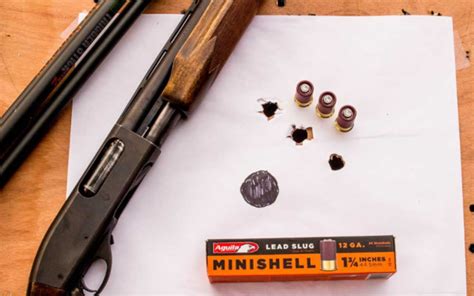 Image result for Mini Shell