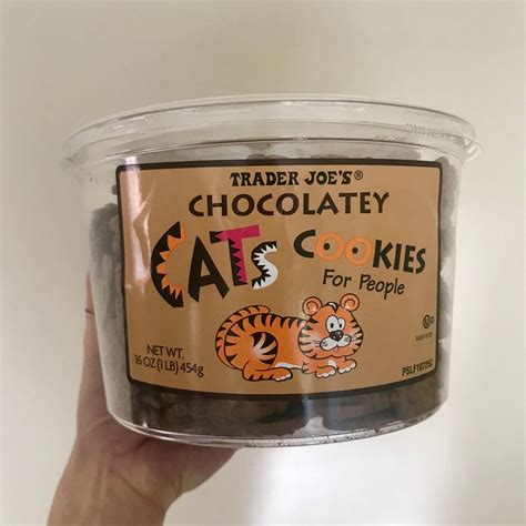 Image result for Cat Chasing Cookies