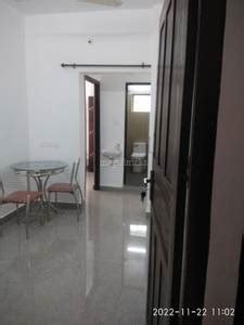Owner 500 Sq-ft 1 BHK Residential House for Rent in Infopark Campus, Kochi