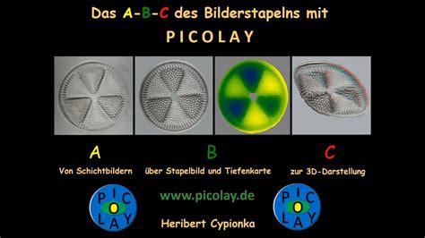 Image result for Picolay Tutorial