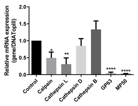Pathogens | May 2023 - Browse Articles
