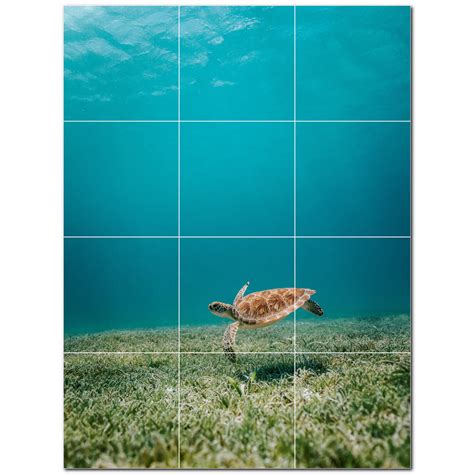 Picture-Tiles.com Turtle Photo 4.25'' x 4.25'' Satin Ceramic Decorative ...