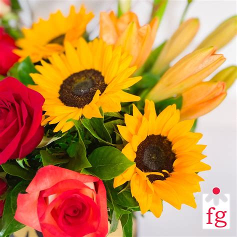 Arreglo de cartuchos con girasoles y rosas - Flores de Guatemala