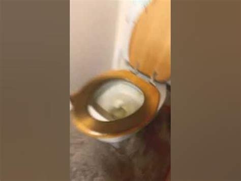 Image result for Modeling Paste Craft Ideas