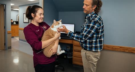 Pet Diagnostic Services in Maine - Veazie Veterinary Clinic