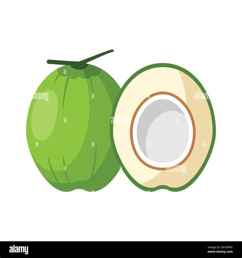 Coconut Fruit Clip Art