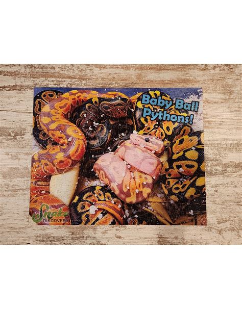 Image result for Python Snake Puzzle 60 PCs