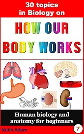 Biology: 30 Topics in Biology on How Our Body Works.: Human antomy and ...