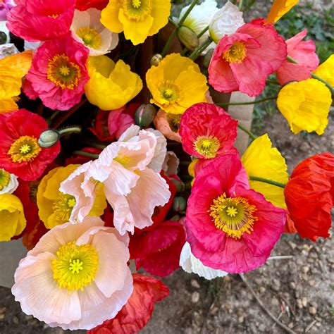 About us – 3 Porch Farm