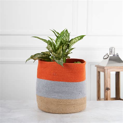 Designer Braided Cotton Planter/Basket Orange, Grey & Beige – DecorTwist